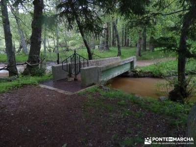 Ciudad Ducal y Torre de Eiffel;tarjeta federativa de montaña;informacion sobre el tejo